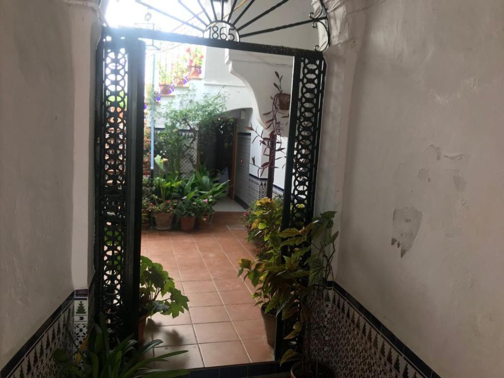 Ferienwohnung Antonio Ureba 9 Conil De La Frontera Exterior foto